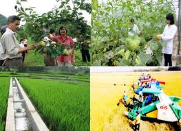 Soluciones para implementar la construcción del nuevo campo vietnamita